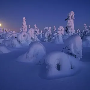 Snowy landscape with full moon