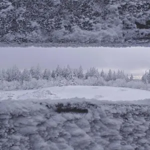 Snowy landscape with views of a forest from the viewpoint