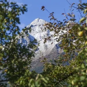 Snowy mountain Brennerspitze in autumn