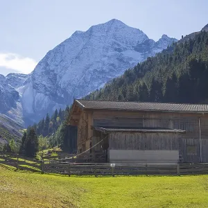 Snowy mountain hawk with cattle shed on the Pinnisalm in autumn Snowy mountain hawk with cattle shed on the Pinnisalm in autumn