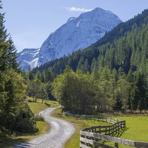 Snowy mountain hawk with forest and hiking trail in autumn Snowy mountain hawk with forest and hiking trail in autumn
