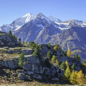 Snowy mountains with autumn trees and rocks under a blue sky