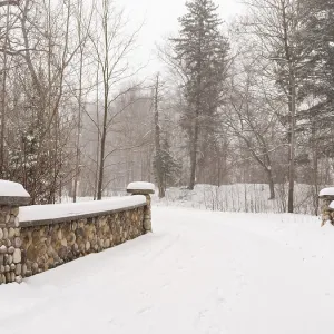 A snowy path through a serene forest with a stone bridge in London