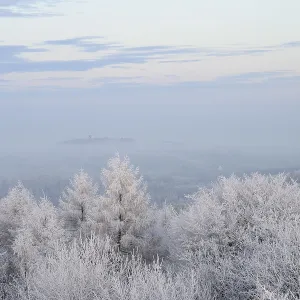 Snowy range of hills with frosty trees in the morning light Snowy range of hills with frosty trees in the morning light