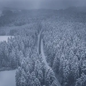 Snowy road and forests under a grey sky