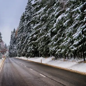 A snowy road leads through a quiet forest A snowy road leads through a quiet forest