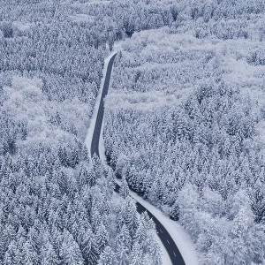Snowy road snakes through a thick winter forest