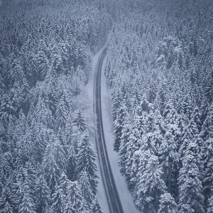 Snowy road snaking through a thick forest