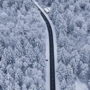 Snowy road snaking through a thick winter forest