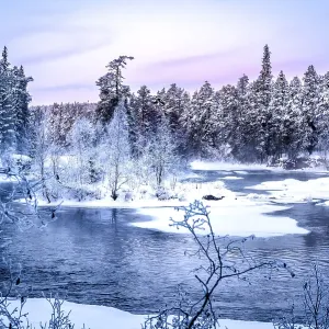 Snowy trees and a frozen river at dusk in a picturesque winter landscape