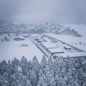 Snowy village on the edge of a forest under cloudy sky