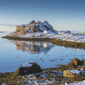 Snowy winter bay with sea grass at low tide Snowy winter bay with sea grass at low tide