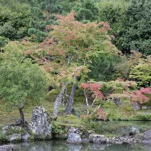 Sogenchi Teien, Tenryu-ji Temple