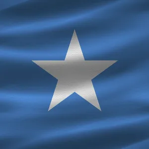 Somali flag with fabric texture Somali flag with fabric texture