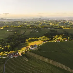 South styria vineyards aerial view