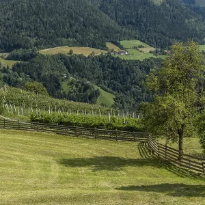 South Tyrolean mountain landscape with orchard and wooden fence