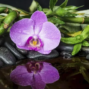 Spa concept with black basalt massage stones Spa concept with black basalt massage stones