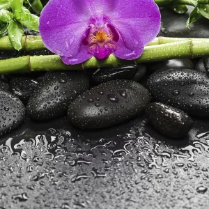 Spa concept with black basalt massage stones Spa concept with black basalt massage stones