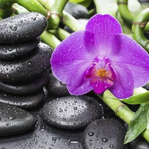 Spa concept with black basalt massage stones Spa concept with black basalt massage stones