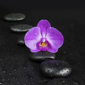 Spa concept with black basalt massage stones arranged chain Spa concept with black basalt massage stones arranged chain