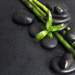 Spa concept with black basalt massage stones and green bamboo shoots covered with water drops on a black background Spa concept with black basalt massage stones and green bamboo shoots covered with water drops on a black background