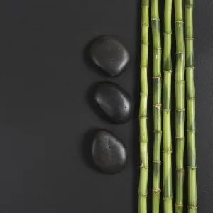 Spa concept with black basalt massage stones and a few stems of Lucky bamboo on a black background Spa concept with black basalt massage stones and a few stems of Lucky bamboo on a black background