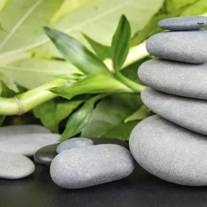 Spa concept with gray basalt massage stones and lush green foliage on a black background Spa concept with gray basalt massage stones and lush green foliage on a black background