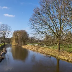 The spelt near Nienborg