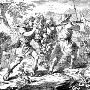 The Spies Take Samples of the Fruits of Canaan Print 1877