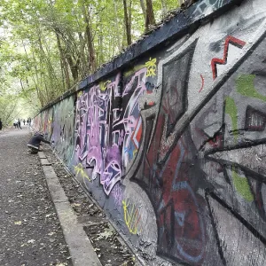 Les pulvérisateurs projettent des graffiti colorés d'art sur une longue muraille le long d'une forêt.