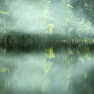 Spring in all its glory! Beautiful river with forest banks and birch trees in fresh foliage Spring in all its glory! Beautiful river with forest banks and birch trees in fresh foliage