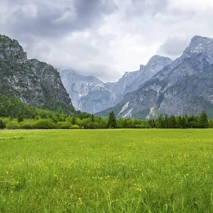 Spring meadow with the Alps in the background on a rainy day