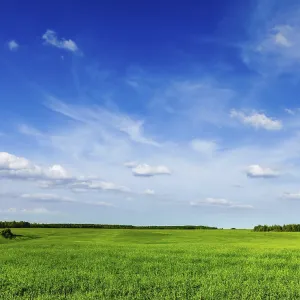 Spring summer background, green grass field meadow scenery lanscape with blue sky Spring summer background, green grass field meadow scenery lanscape with blue sky