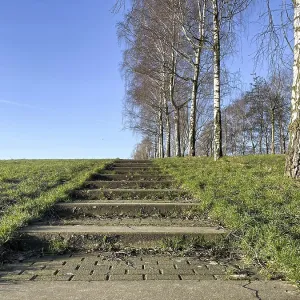 Stairs in the park with meadow and a row of birch trees Stairs in the park with meadow and a row of birch trees