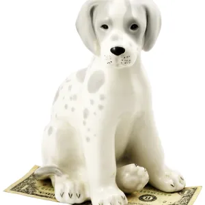 Statuette of dog sitting on bank note