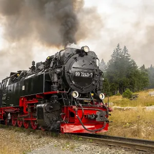 Steam Train Print: Rural Scene in Sachsen-Anhalt, Germany