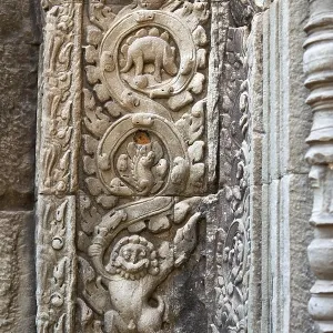 Stegosaurus dinosaur carving on the wall in Ta Prohm temple