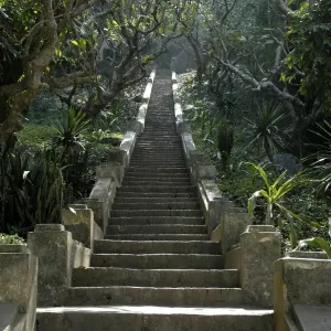 Steps leading from the jungle to the temple mount Phu Si Steps leading from the jungle to the temple mount Phu Si