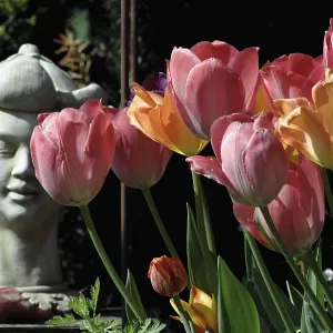 Stone Buddha next to blooming colourful tulips in a garden