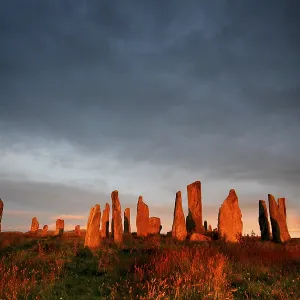 Stone Circle of Callanish, Stones of Callanish