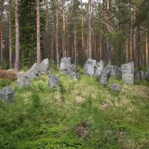 Stone tank traps from the Second World War