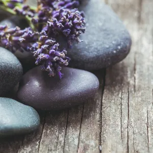 Stones with lavender on old shabby wooden background