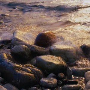 Stones on shore, Barents Sea, Norway, Europe Stones on shore, Barents Sea, Norway, Europe
