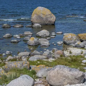 Stones on the shore of the island of Stora grundet on the northern tip of the Swedish island of Oland