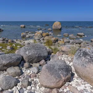 Stones on the shore of the island of Stora grundet on the northern tip of the Swedish island of Oland