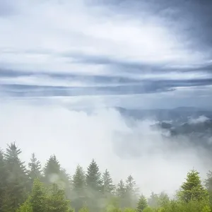Stormy atmosphere with fog after heavy rain falls on the Schliffkopf mountain Stormy atmosphere with fog after heavy rain falls on the Schliffkopf mountain