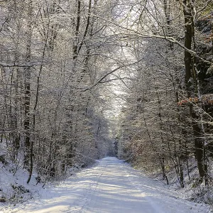 Straight hiking trail on a former railway embankment in the snow near Duerrroehrsdorf-Dittersbach