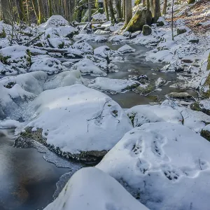 A stream flows calmly through a forest while snow covers the stones and banks A stream flows calmly through a forest while snow covers the stones and banks