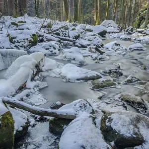 The stream flows slowly through the forest The stream flows slowly through the forest