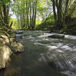 Stream in the Mittelgebirge mountain range